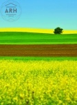 Природа 10119-М фотообои на флизелиновой основе, 2x2.7м
